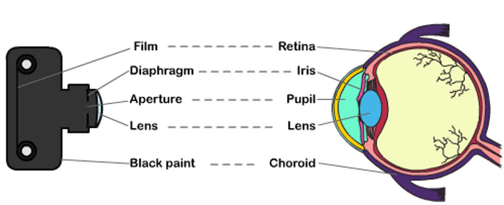 humaneye and camera - SPAN Systems